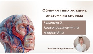 Обличчя і шия як єдина анатомічна система. Частина 2. Кровопостачання та лімфовідтік. Викладач: Капустяна Ірина