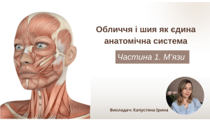 Обличчя і шия як єдина анатомічна система. Частина 1. М'язи. Викладач: Капустяна Ірина